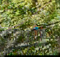 Tamborine Mountain - Yamba Accommodation