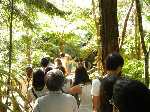 Tamborine Mountain Glow Worm Tours - Yamba Accommodation 1