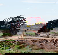 Turbo Buggy Ride - Yamba Accommodation
