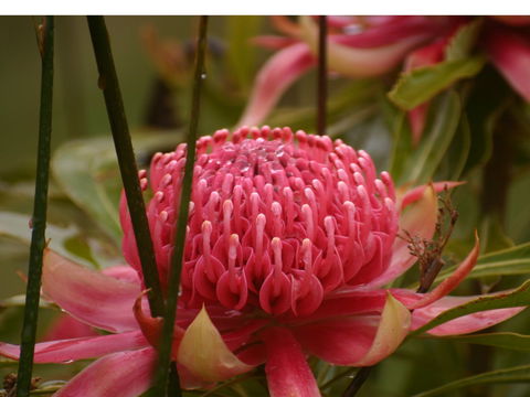 Vortex Healing Centre - Yamba Accommodation 2
