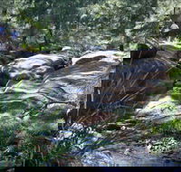 Washpools waterhole - Yamba Accommodation