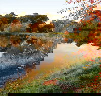 Alpine - Yamba Accommodation