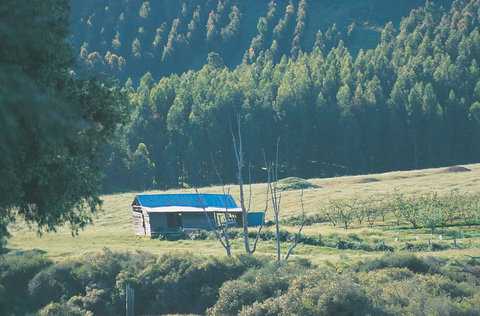 Blackwood River Valley Food And Beverage Trail - Yamba Accommodation 1