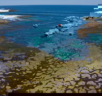 Cathedral Rocks Viewing Platform - Yamba Accommodation
