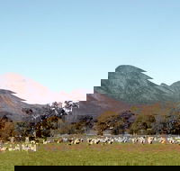 Grampians - Yamba Accommodation