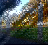 Mansfield Botanic Park - Yamba Accommodation