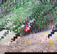 Margaret River Rails Trail - Yamba Accommodation