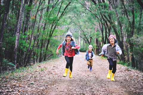 Margaret River Rails Trail - Yamba Accommodation 0