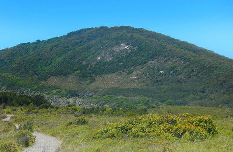 Monument Hill Walking Track - Yamba Accommodation 0