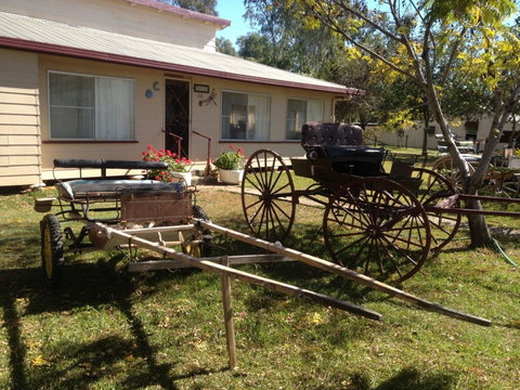 Mr And Mrs Behan Sulky Display - Yamba Accommodation 0