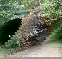 Mushroom Tunnel - Yamba Accommodation