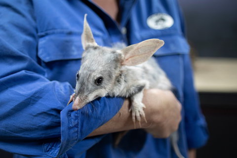 Natural Sciences Loop - Yamba Accommodation 2