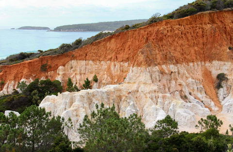 Pinnacles Loop Walking Track - Yamba Accommodation 0