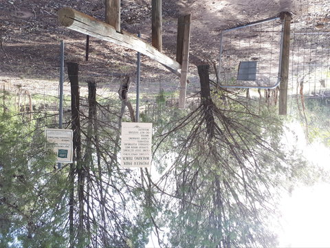 Pioneer Park - Yamba Accommodation 1