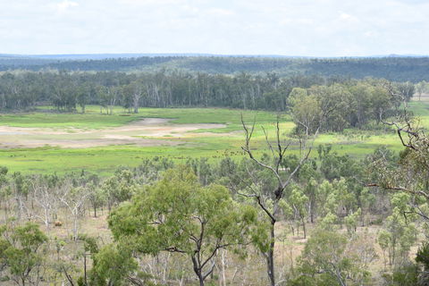 Princess Hills, Girringun National Park - Yamba Accommodation 0