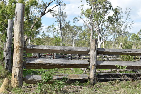 Princess Hills, Girringun National Park - Yamba Accommodation 2