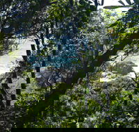 Rainforest Walking Track Hat Head National Park