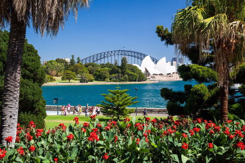 Royal Botanic Garden And The Domain - Yamba Accommodation 0