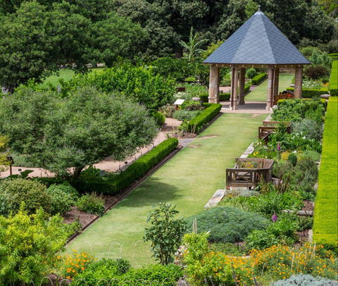 Royal Botanic Garden And The Domain - Yamba Accommodation 1