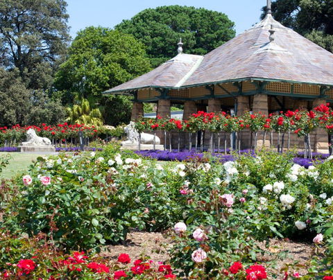 Royal Botanic Garden And The Domain - Yamba Accommodation 2