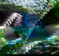 Springbrook - Yamba Accommodation