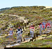 The Sole Walk at Hillocks Drive - Yamba Accommodation