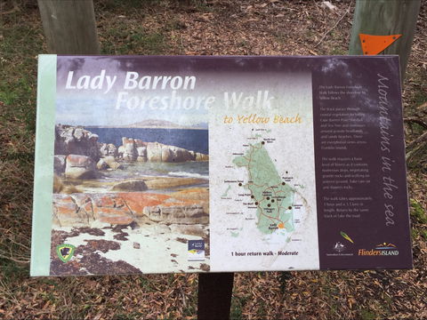 The Lady Barron Foreshore Walk - Yamba Accommodation 0