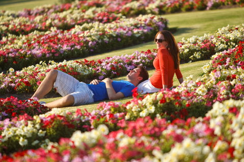 Victoria State Rose Garden At Werribee Park - Yamba Accommodation 1