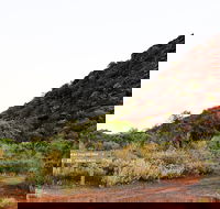 Whyalla Conservation Park - Yamba Accommodation