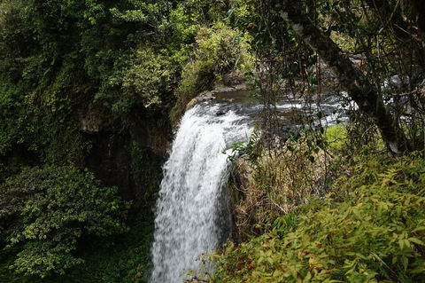 Zillie Falls - Yamba Accommodation 0