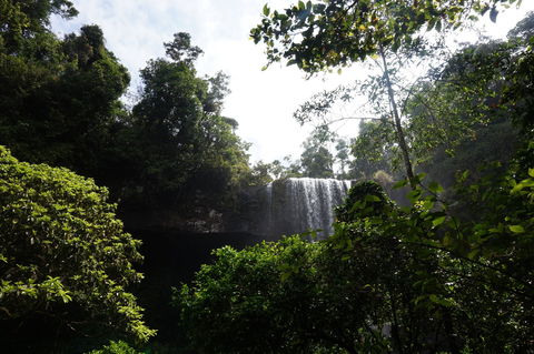 Zillie Falls - Yamba Accommodation 1