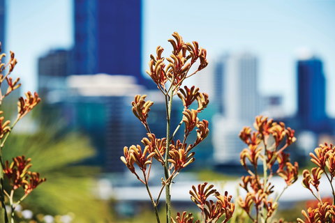 A Day In Perth - Yamba Accommodation 1