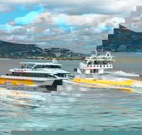 Apex Camps Magnetic Island Group Accommodation Activities and Events - Yamba Accommodation