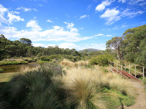 Bullocks Walking Track - Yamba Accommodation 0