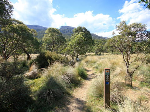 Bullocks Walking Track - Yamba Accommodation 2