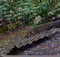 Coombadjha Nature Stroll - Yamba Accommodation