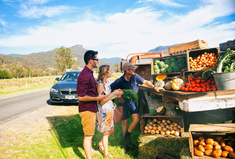 Darlington Park - Yamba Accommodation 1