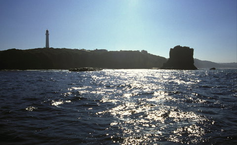 Eagle Rock Marine Sanctuary - Yamba Accommodation 2