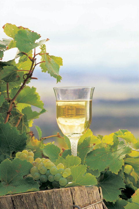 Flavours Of The Porongurup Range Trail - Yamba Accommodation 0