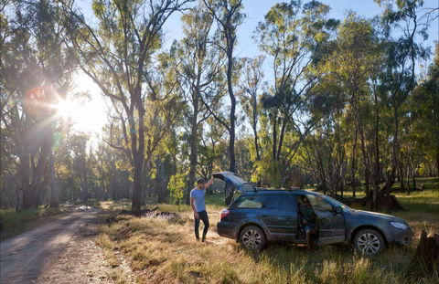 Forest Drive, Murrumbidgee Valley National Park - Yamba Accommodation 0