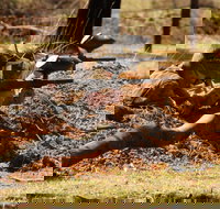 Freycinet Paintball and Campground - Yamba Accommodation