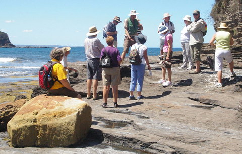 Gondwana Coast Fossil Walk - Yamba Accommodation 0