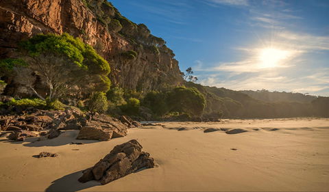 Greenglade Picnic Area - Yamba Accommodation 0
