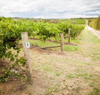 Grove Estate Wines - Yamba Accommodation