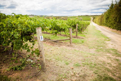 Grove Estate Wines - Yamba Accommodation 0