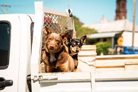 Harden Murrumburrah - Yamba Accommodation 0