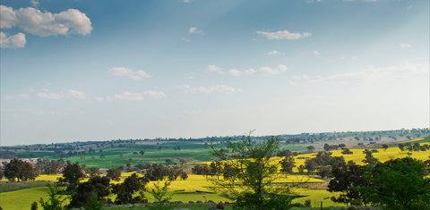 Harden Murrumburrah - Yamba Accommodation 1