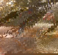 Kholo Gardens Trails - Yamba Accommodation