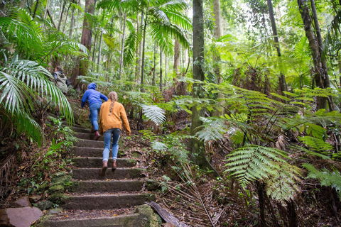 Maiala - Yamba Accommodation 1