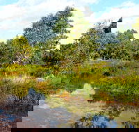 Mansfield Mullum Wetlands - Yamba Accommodation